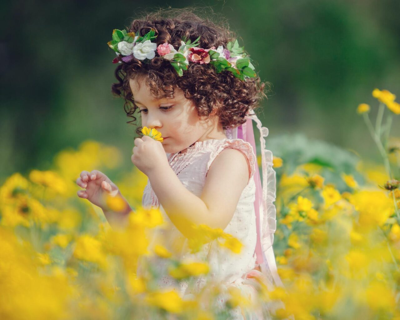 29646ba3-7e88-444f-9cc9-c09fa361be0d